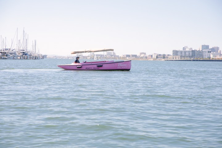 A pink boat with a canopy sails on calm water near a marina and cityscape.