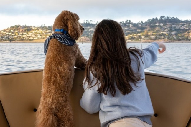 Person and dog on a boat looking out at the water and distant land.
