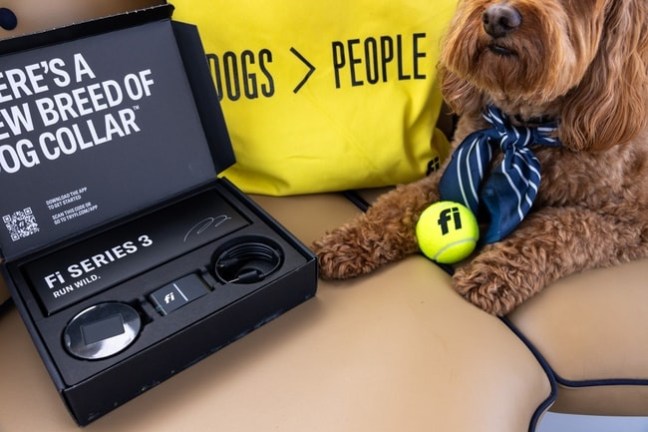 Dog with striped scarf, yellow tennis ball, and Fi Series 3 collar box on a seat.