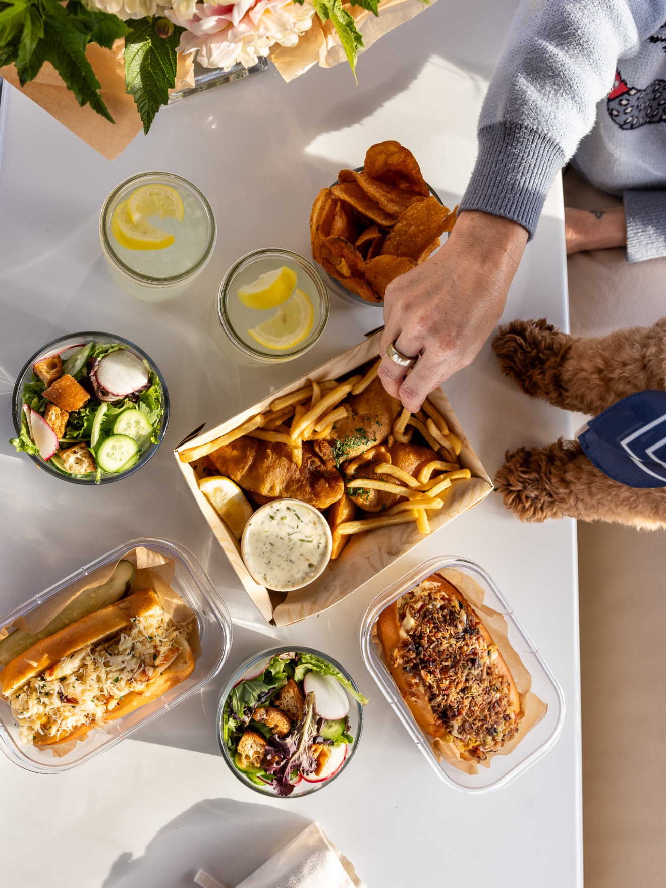 Table with salads, sandwiches, lemon drinks, and a hand reaching for fries, next to a brown dog's paws.